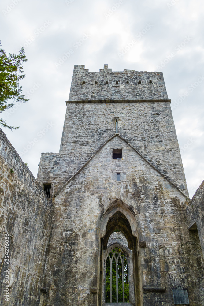 Muckross Abbey Killarney Ireland