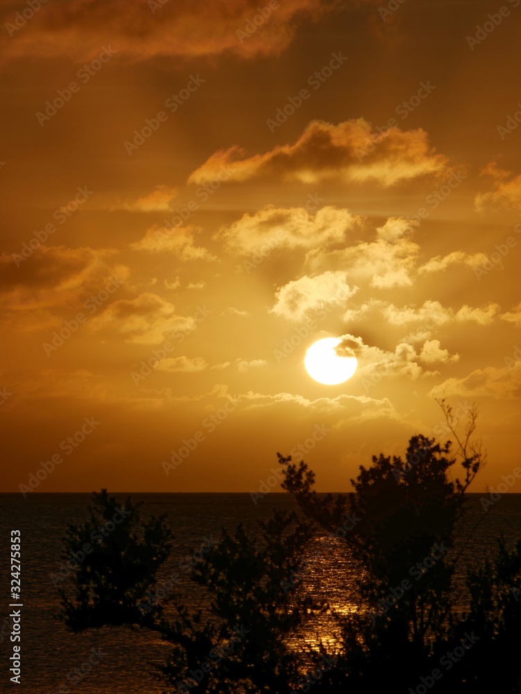 Gorgeous flaming sunset reflected in the waters framed by the silhouettes of shrubs in the beach