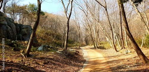 Jogyesan Mountain Forest  Road (South Korea)
