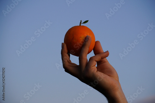 delicada mano de hombre sosteniendo con tres dedos una naranja redonda con una sola hoja pequeña y el cielo azul sin nubes de fondo photo