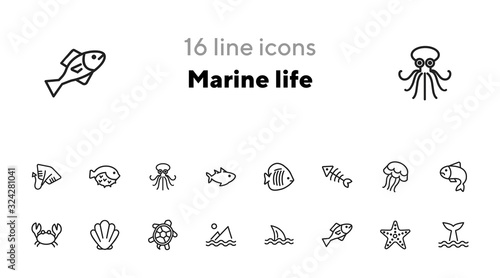 Marine life icon. Set of line icons on white background. Crab, turtle, seashell, starfish, shark fin. Sea concept. Vector illustration can be used for topics like aquarium, fauna, travel