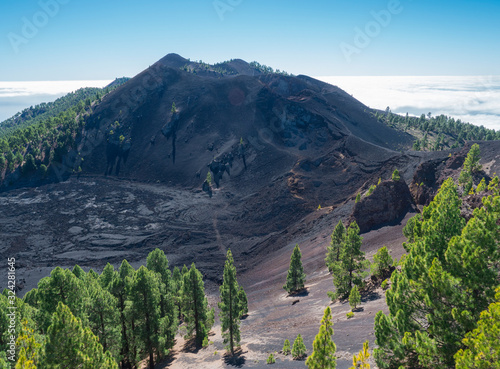 Volcanic landscape with lush green pine trees, colorful volcanoes and lava crater Deseada along path Ruta de los Volcanes, hiking trail at La Palma island, Canary Islands, Spain, Blue sky background photo