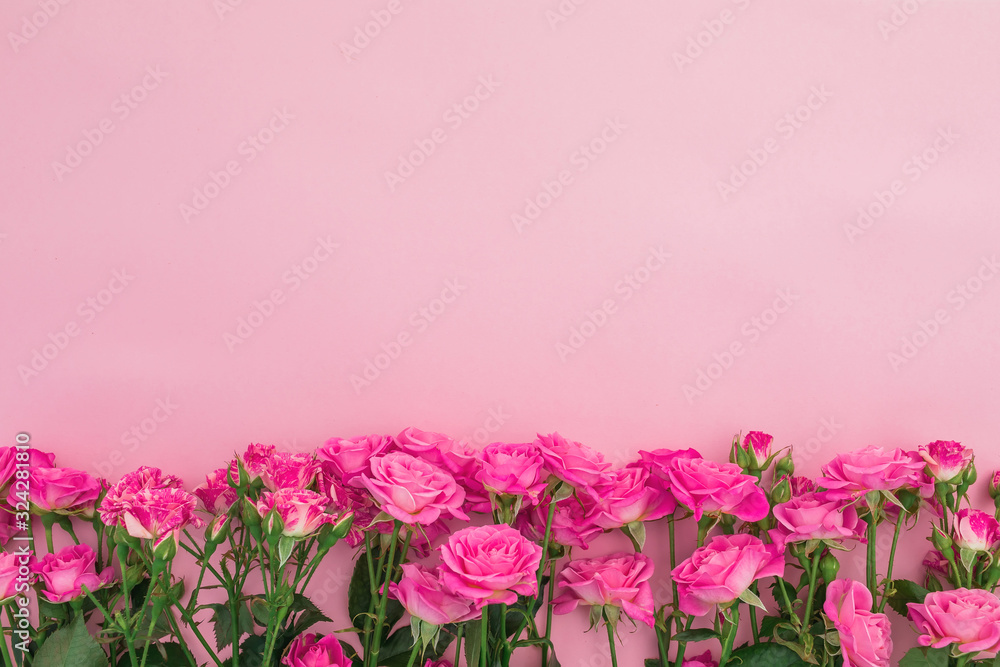 Fototapeta premium Floral frame with pink roses flowers on pink background. Flat lay, Top view.