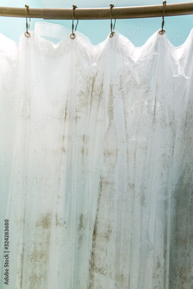 Dark brown mildew mold on plastic interior shower curtain in a light aqua bathroom