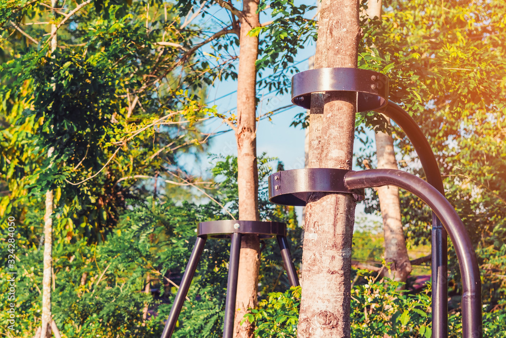 Black steel column supports and controls the branches and trunks of the tree to stand upright and beautiful in the park.