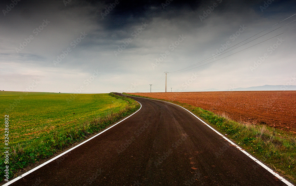 Carretera atravesando campos de cultivo a los lados de dos colores Carretera atravesando campos de cultivo a los lados de dos colores