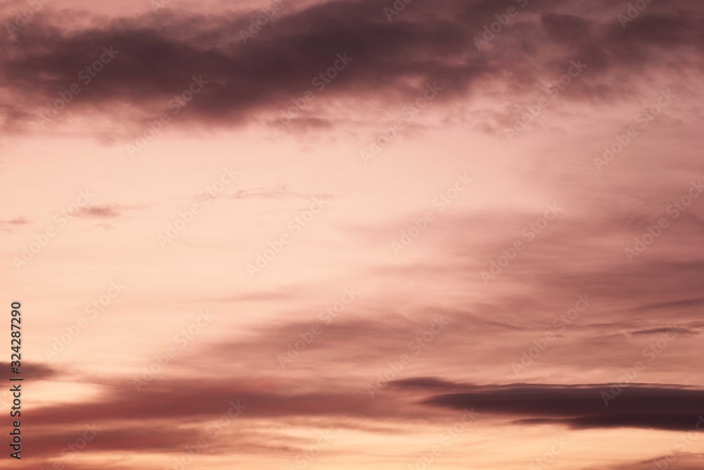 Close-up Sunset Pink Sky Background