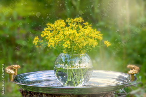 Yellow wildflowers in a transparent glass vase with water on a silver tray outside on a background of green nature in summer.