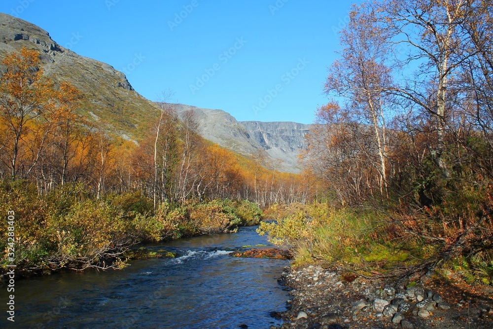 autumn stream in Khibiny Mountains autumn stream in Khibiny Mountains