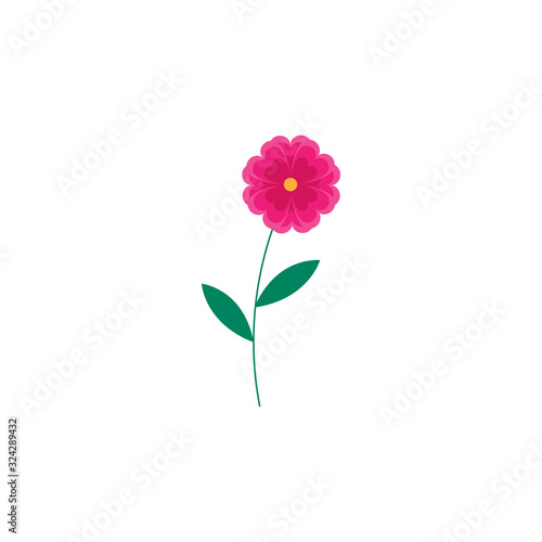 This is cute flower on white background. © Halyna