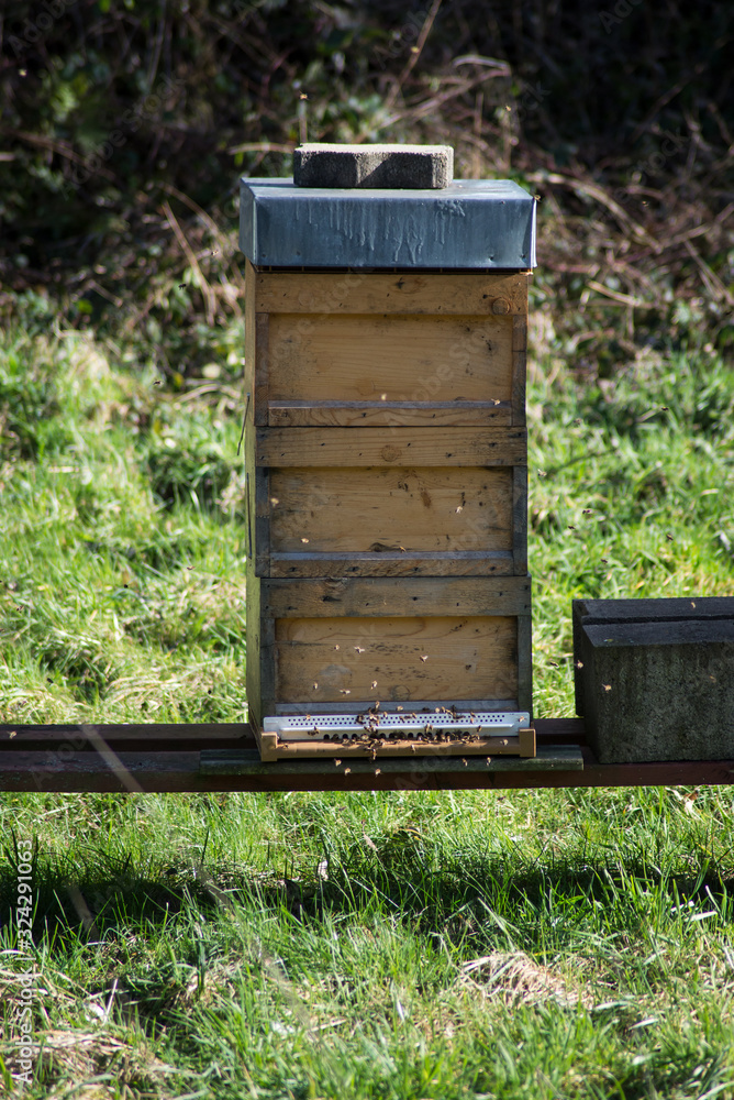 Closeup of wooden beehive in a meadow Closeup of wooden beehive in a meadow
