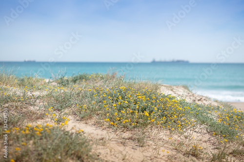 Lanscape of the mediterranean sea in a sunny day