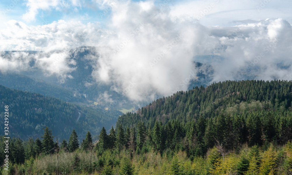 Mountains landscape covered by fir forest and clouds in Black Forest