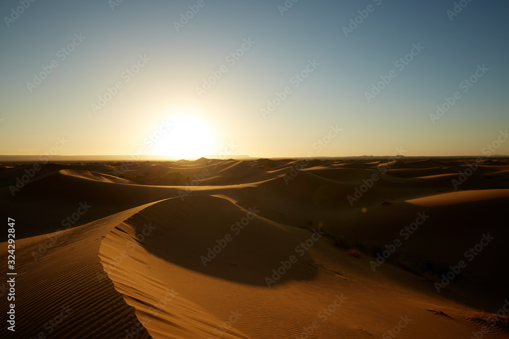 Desert dunes in the morning