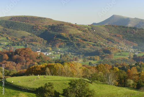 Fototapeta Naklejka Na Ścianę i Meble -  Vista en otoño del valle navarro de Baztan