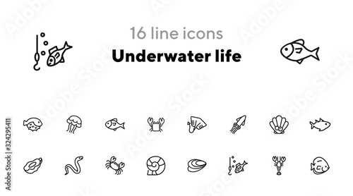 Underwater life line icon set. Fish, crab, eel. Nature concept. Can be used for topics like fishing, seafood, marine biology