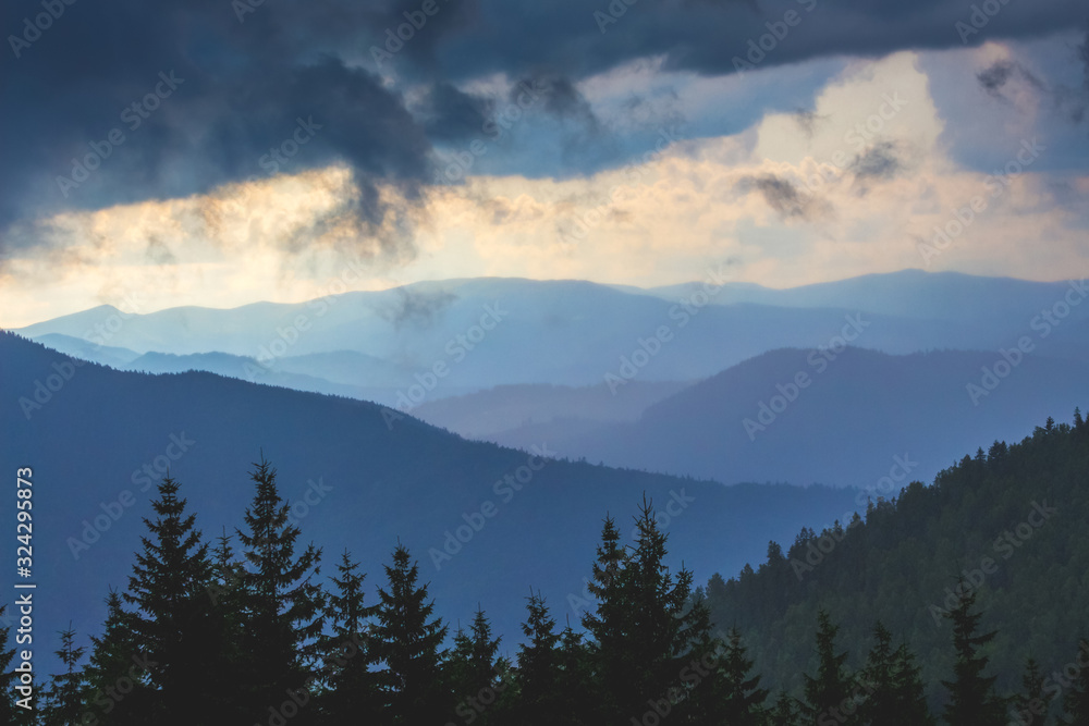 Dark fir trees on a background of mountains in stormy weather_