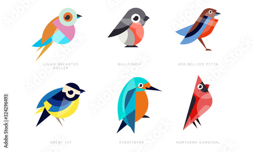 Colorful Stylized Birds Collection, Lilac Breasted Roller, Bullfinch, Red Bellied Pitta, Great Tit, Kingfisher, Northern Cardinal Vector Illustration on White Background