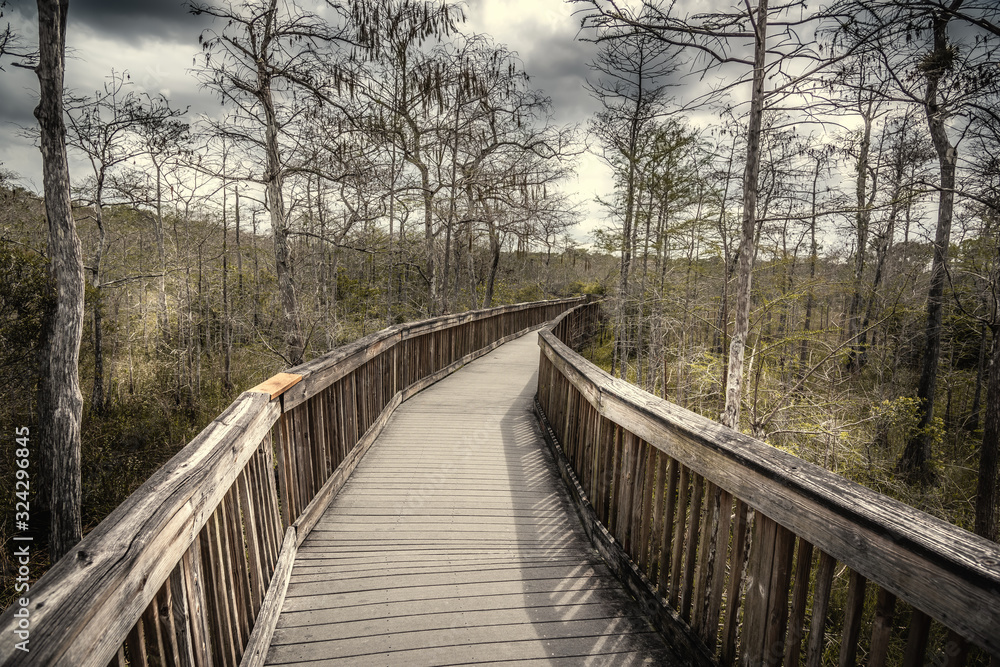 Dramatic sky over a wooden boardwalk in the Everglades National Park Dramatic sky over a wooden boardwalk in the Everglades National Park