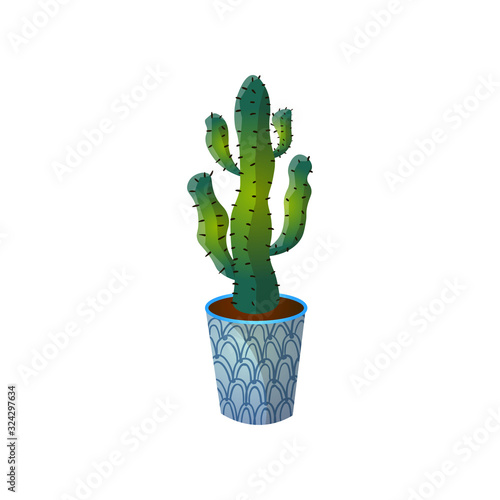 Dessert green colorful cactus in blue striped pot