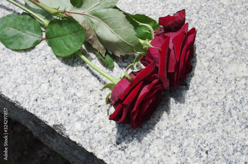 Two red roses on a granite gravestone. Symbol of memory.