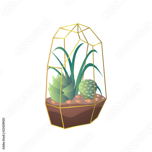 Green succulent and cactus plant in terrarium ground pot