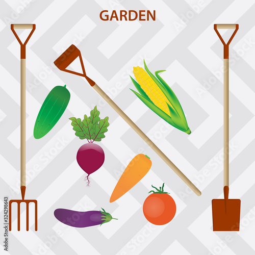 Vegetables and garden tools - vector. Spring summer work on a plot of land. Household goods