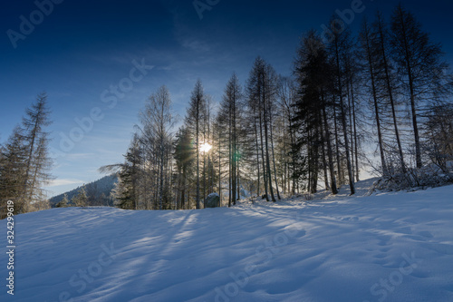 Winterlandschaft 