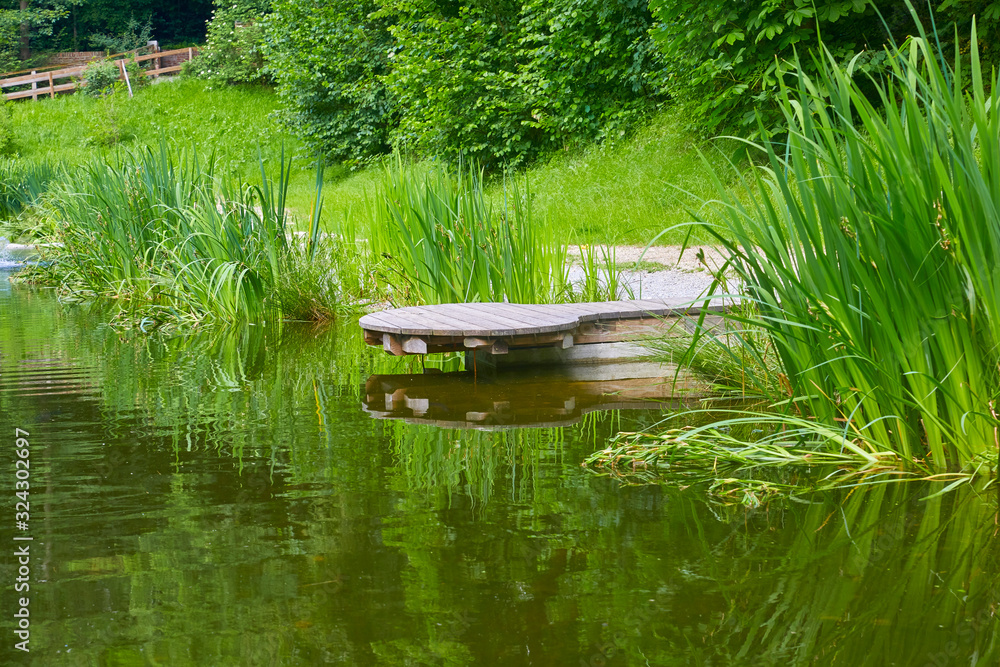 Exotic park with terrace and pond Exotic park with terrace and pond