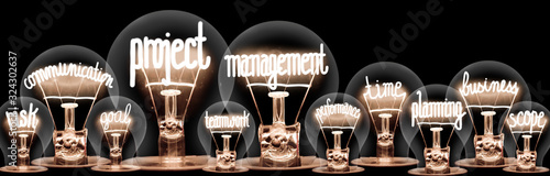 Light Bulbs with Project Management Concept