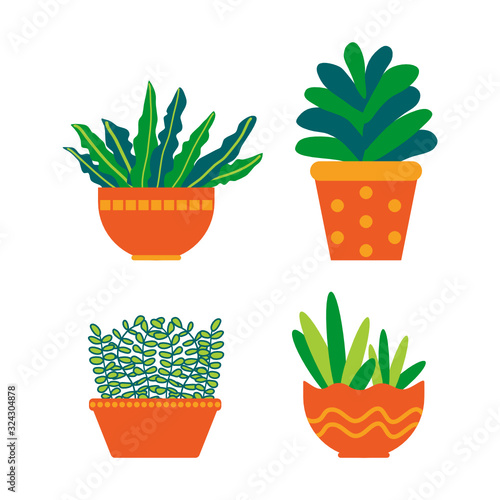 Plant in Pot Vector Illustration