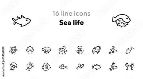 Sea life line icon set. Seashell, jelly, crab. Nature concept. Can be used for topics like diving, ocean, seafood market
