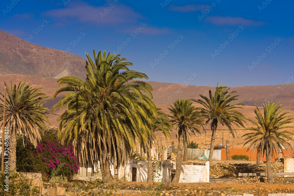 Small Finca in a Mountain landscape with a palm grove near Tuineje, Fuerteventura, Canary Islands, Spain, Europe Small Finca in a Mountain landscape with a palm grove near Tuineje, Fuerteventura, Canary Islands, Spain, Europe