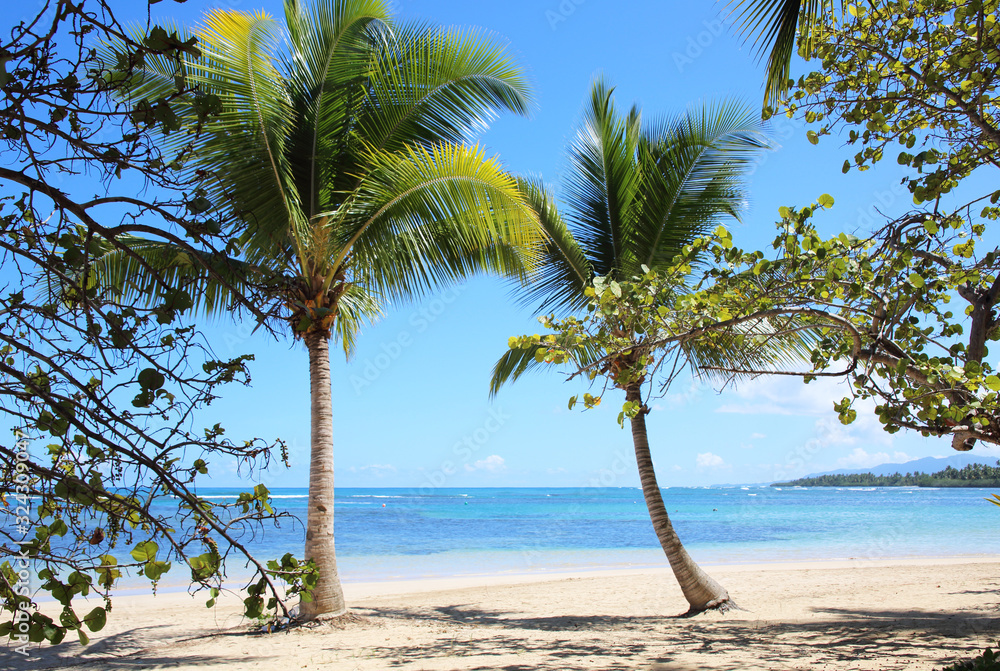 Obraz premium Traumstrand