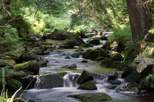 Bodewasserfälle Bachlauf mit kleinen Wasserfällen im Nationalpark Harz