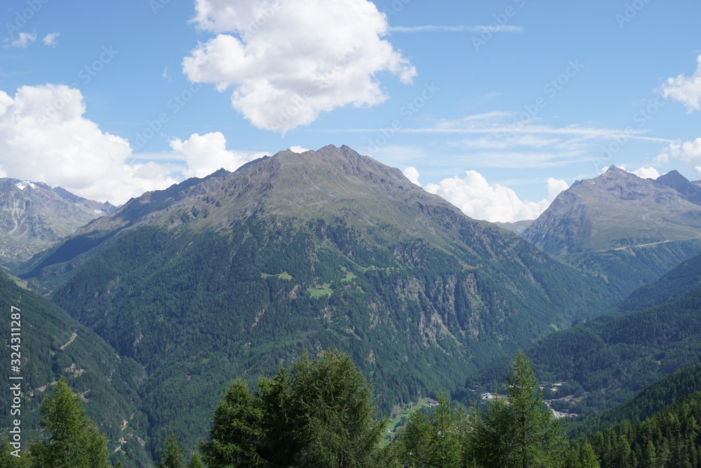 grüne Berglandschaft in den Alpen Ötztal