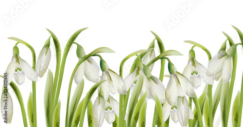 Spring white bell flowers in watercolor style. Place for text. Vector