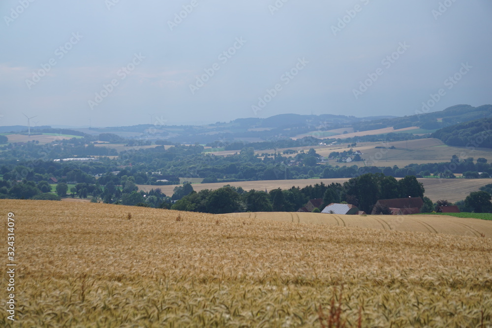 Getreidefeld mit Landschaft