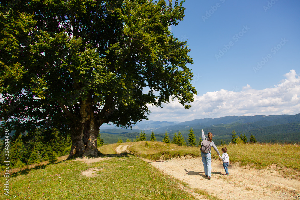 Mother and son tourists in Carpathian landscape. Dirt road in the mountains. Hiking. landscape in Carpatians, Ukraine. Coniferous forest and blue sky. Panorama of mountains. Beech tree. Mom and son