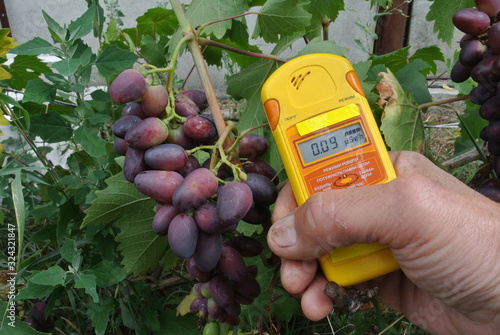 radiation measurer portable geiger counter for home and garden on grape background
