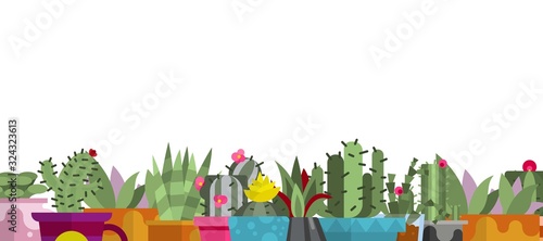 Cartoon cactus and succulents isolated on white background gorizontal banner, vector illustration. Different cacti and succulents with thorns, flowers, leaves and pots for home garden.