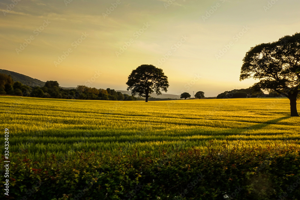 Obraz premium English country meadow