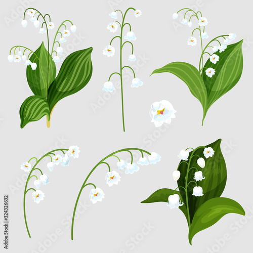 Isolated set lily of the valley bouquet elements