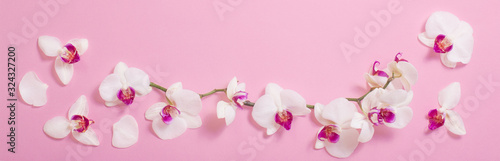 Fototapeta Naklejka Na Ścianę i Meble -  white orchid flowers  on pink paper background