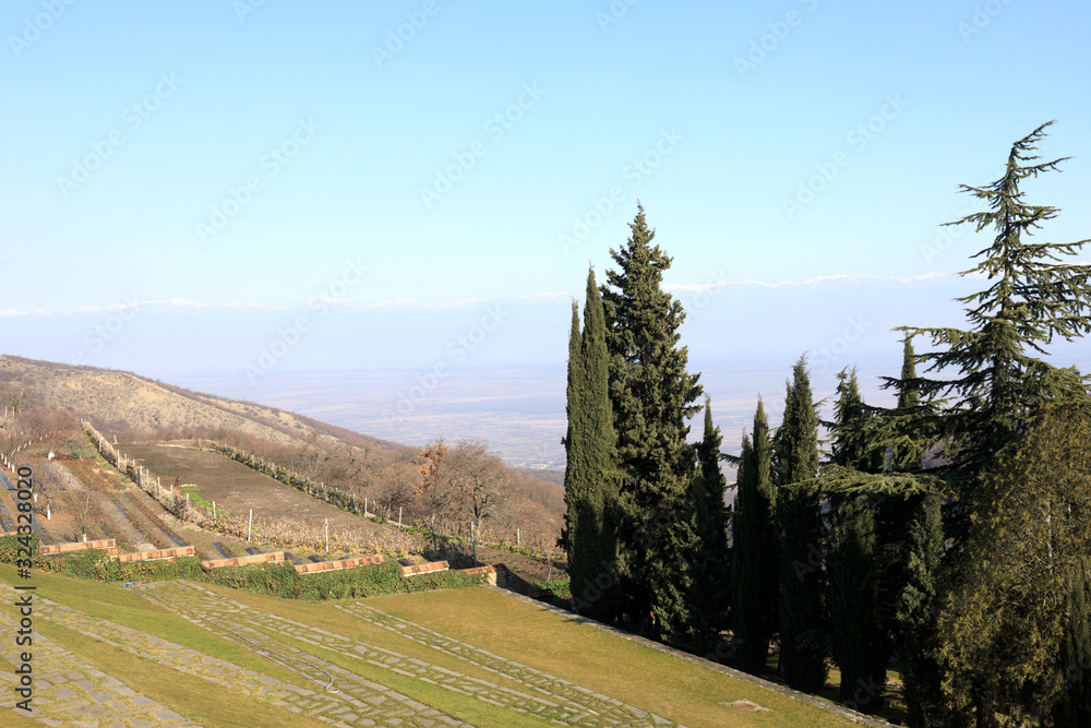 Landscape of Alazani Valley