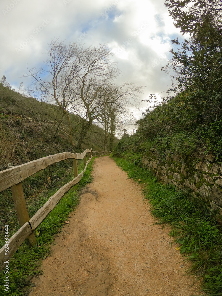 Path in the countryside landscape