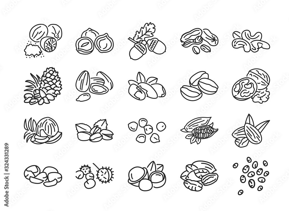 Nuts and seeds black line icons set. Nuts are the hard-shelled fruit of certain plants. Seeds are a small edible plant enclosed in a seed coat. Pictograms for web page, mobile app. Editable stroke.