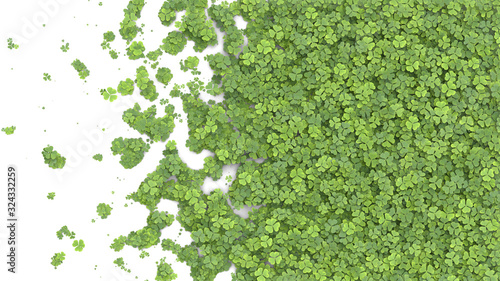 Green clover covering the screen. 3D rendering. photo