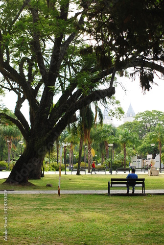 Hombre del árbol