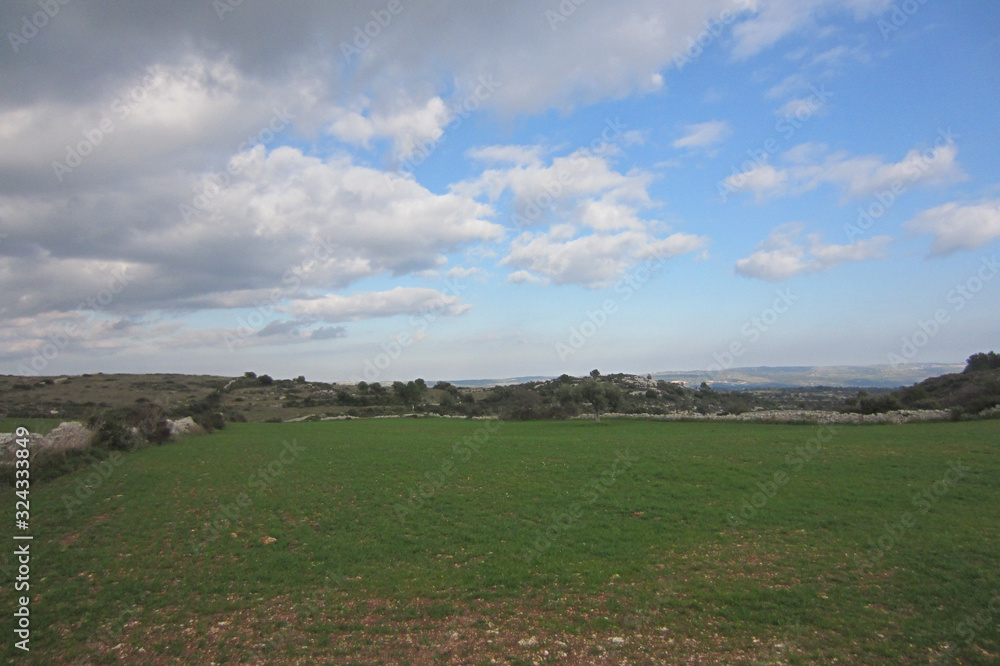 Obraz premium Campo verde